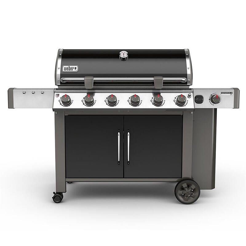 Weber Grill 1
